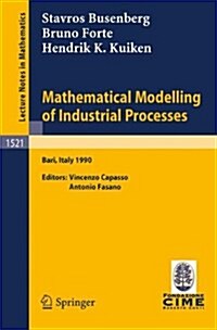 Mathematical Modelling of Industrial Processes (Paperback)