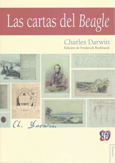 Charles Darwin: Las Cartas del Beagle (Hardcover)