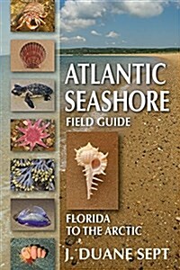 Atlantic Seashore Field Guide: Florida to Canada (Paperback)