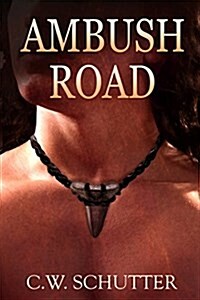 Ambush Road (Paperback)