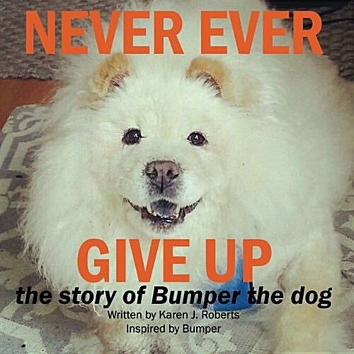 Never Ever Give Up, the Story of Bumper the Dog. (Paperback)