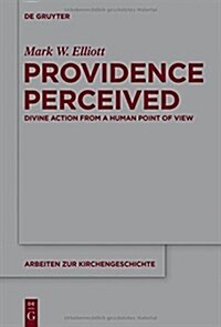 Providence Perceived: Divine Action from a Human Point of View (Hardcover)