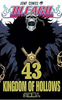 Bleach, Volume 43: Kingdom Of Hollows (Paperback)