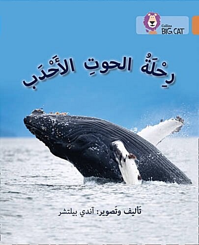 Journey of Humpback Whales : Level 12 (Paperback)