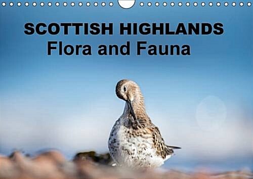 Scottish Highlands Flora and Fauna (Calendar, 2 Rev ed)