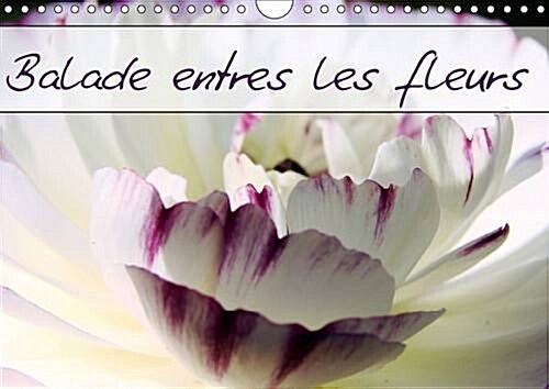 Balade Entre les Fleurs : Photos de Fleurs des Champs et de Jardins (Calendar, 2 Rev ed)