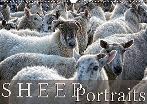 Sheep Portraits : Discover 12 Beautiful Portraits of Sheep in the Countryside (Calendar, 2 Rev ed)