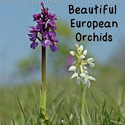Beautiful European Orchids : 13 Different Species of European Orchid in Colorful Macro Shots, Photographed in Northern Hessen. (Calendar, 2 Rev ed)