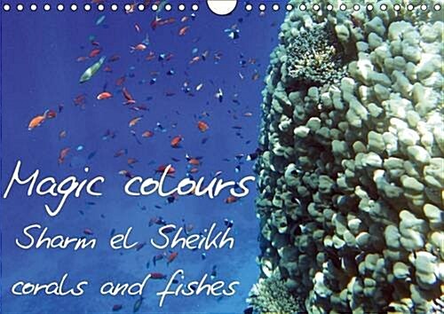 Magic Colours Sharm el Sheikh Corals and Fishes : Pictures of Sharm el Sheikh Coral Reef (Red Sea). (Calendar, 2 Rev ed)