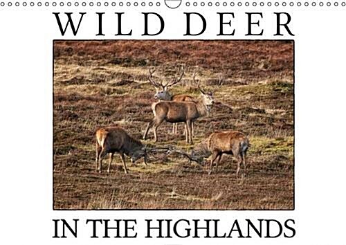 Wild Deer in the Highlands : Enjoy the Majestic Beauty of Wild Deer in its Natural Environment (Calendar, 2 Rev ed)
