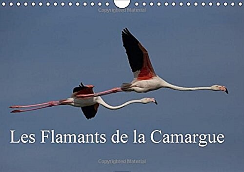 Les Flamants de la Camargue : Scenes de la Vie Dune Espece Fascinante (Calendar, 2 Rev ed)