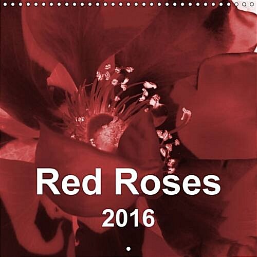 Red Roses : Floral Abstractions in Red (Calendar, 2 Rev ed)