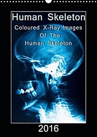 Human Skeleton : Image Motifs with Detailed x-Ray Pictures in Colour (Calendar, 2 Rev ed)