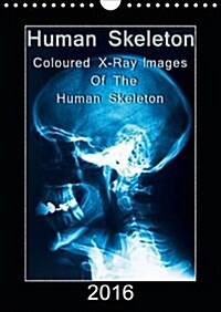 Human Skeleton : Image Motifs with Detailed X-Ray Pictures in Colour (Calendar, 2 Rev ed)
