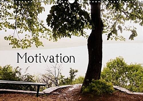 Motivational Quotes Driamond: Dream Ambition Motivation : Monthly Motivational Quotes (Calendar, 2 Rev ed)