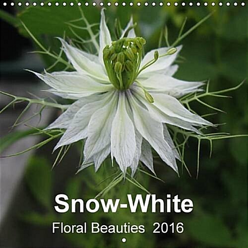 Snow-White - Floral Beauties : Floral Beauties in White (Calendar, 2 Rev ed)