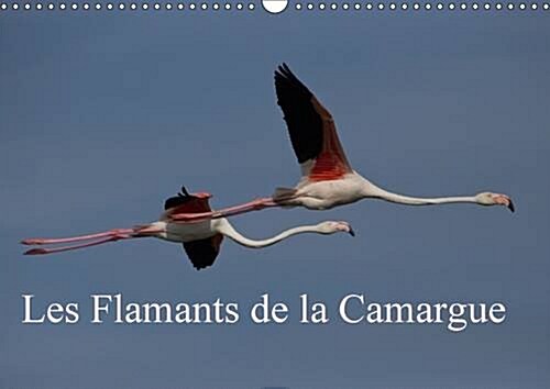 Les Flamants de la Camargue : Scenes de la Vie Dune Espece Fascinante (Calendar, 2 Rev ed)