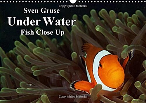 Sven Gruse Under Water - Fish Close Up : Enjoy the Impressive Underwater World (Calendar, 2 Rev ed)