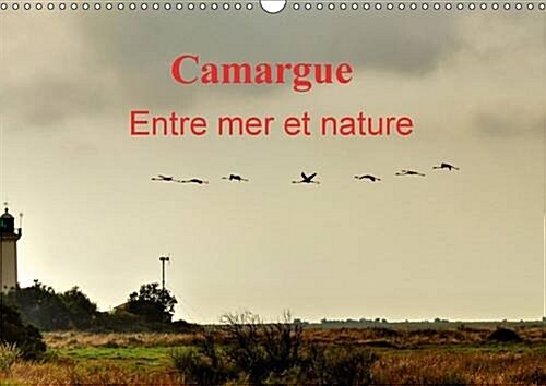 Camargue Entre Mer et Nature : Au c/Ur de la Camargue, Entre Mer et Marais Salants. (Calendar, 2 Rev ed)