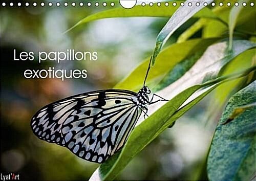Les Papillons Exotiques : Calendrier Mensuel de 14 Pages Dedie aux Majestueux Papillons (Calendar, 2 Rev ed)