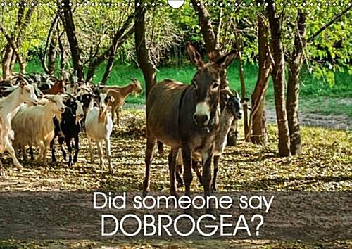 Did Someone Say Dobrogea? : A Donkeys Tale of 12 Tail Wagging Landscapes from the Land Between the Waters, Called Dobrogea (Calendar, 2 Rev ed)