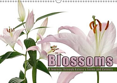 Blossoms : A Journey Through Natures Forms and Colours (Calendar, 2 Rev ed)