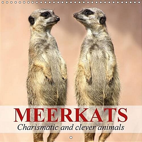 Meerkats - Charismatic and Clever Animals : Funny and Clever Fellows from Africa (Calendar, 2 Rev ed)