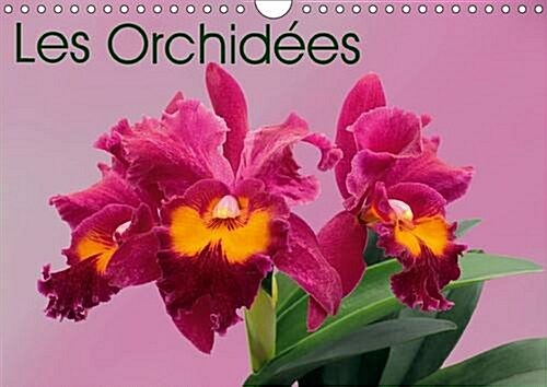Les Orchidees : Les Orchidees Exotiques (Calendar, 2 Rev ed)