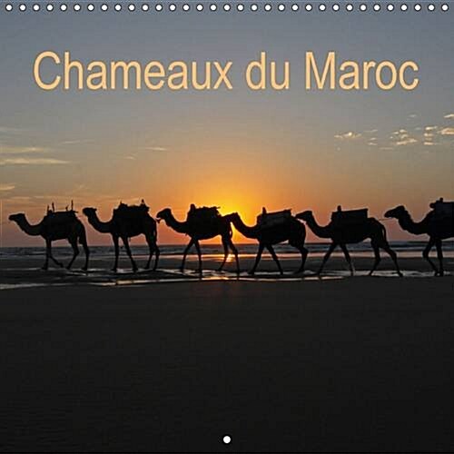Chameaux du Maroc : Trekking avec des Chameaux au Maroc (Calendar, 2 Rev ed)