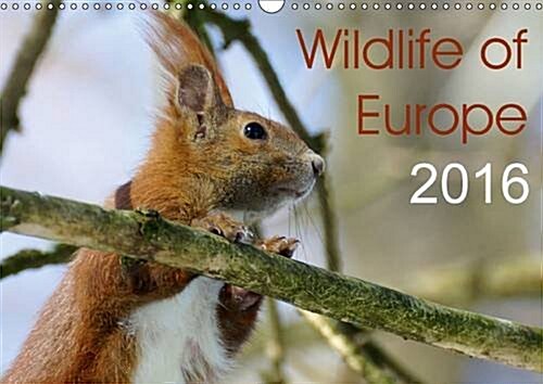 Wildlife of Europe 2016 : Enjoy Wonderful Shots of the European Wildlife Throughout the Year with This Stunning Calendar for the Nature-Lover (Calendar, 2 Rev ed)