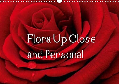 Flora Up Close and Personal : A Whole Year of Flowers Just for You! (Calendar, 2 Rev ed)