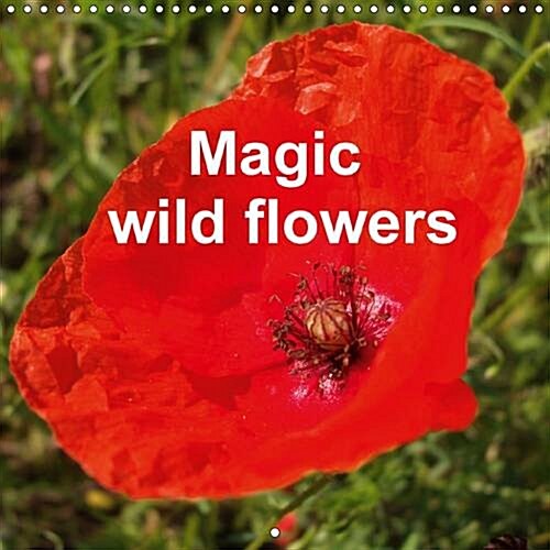 Magic Wild Flowers : Not Often Observed, Yet Beautiful and Exceptional (Calendar, 2 Rev ed)