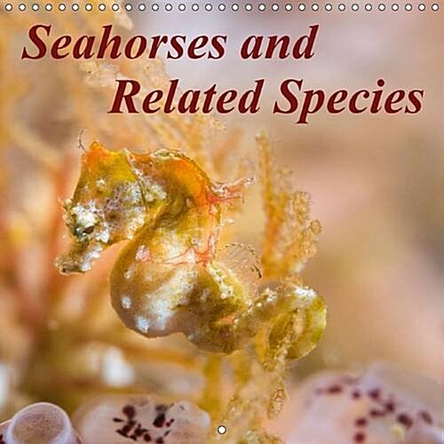Seahorses and Related Species : Seahorses and Some of Their Unique Relatives (Calendar, 2 Rev ed)