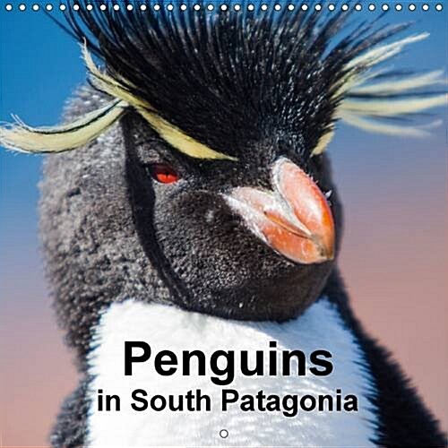 Penguins in South Patagonia : Wonderful and Cute Photos of Rockhopper and Magellanic Penguins in Argentina. (Calendar, 2 Rev ed)