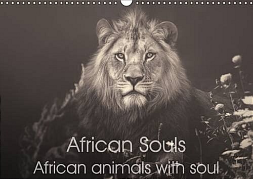 African Souls African Animals with Soul : Enchanting Animal Souls of African Nature (Calendar, 2 Rev ed)