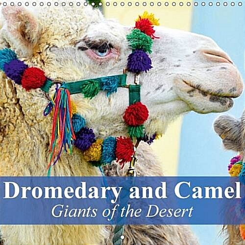 Dromedary and Camel - Giants of the Desert : Frugal Giants in the Desert Sand (Calendar, 2 Rev ed)
