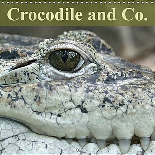 Crocodile and Co. : The Oldest Predators of the World (Calendar, 2 Rev ed)