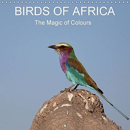 Birds of Africa - The Magic of Colours : Africa - A Birds Paradise! (Calendar, 2 Rev ed)