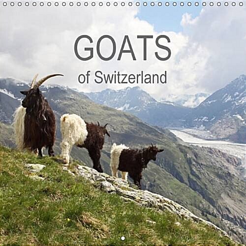 Goats of Switzerland : This Calendar Shows the Colorful Diversity of Swiss Goats (Calendar, 2 Rev ed)