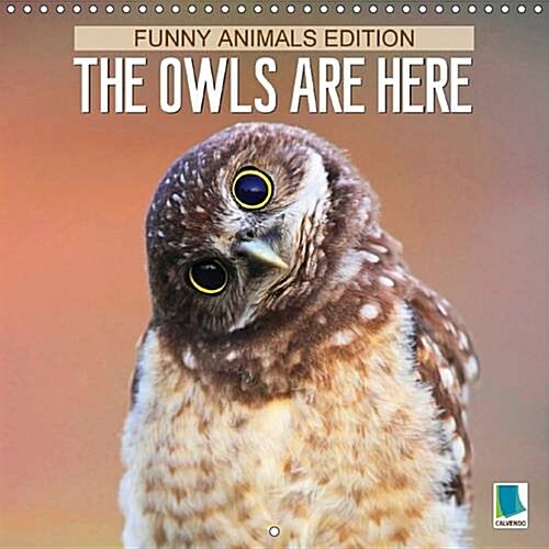 The Owls are Here : Having a Hoot with Owls (Calendar, Funny Animals Edition)