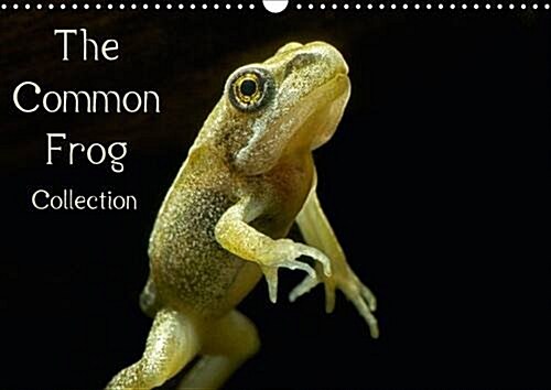The Common Frog Collection : Informed Collection of Images from the Lifecycle of the Common Frog (Calendar, 2 Rev ed)