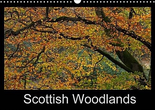 Scottish Woodlands : Stunning Photography Capturing the Beauty of Trees (Calendar, 2 Rev ed)