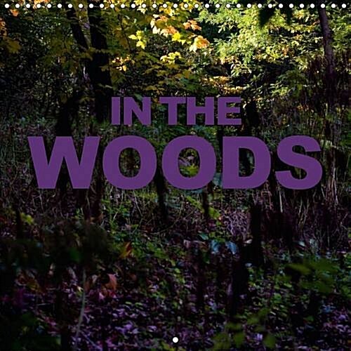 In the Woods : Mysteries of the Woods (Calendar, 2 Rev ed)