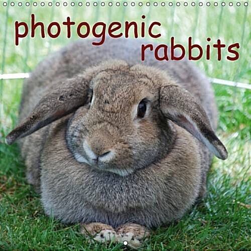 Photogenic Rabbits : An Amusing Planner About Our Favorite Pets (Calendar, 2 Rev ed)