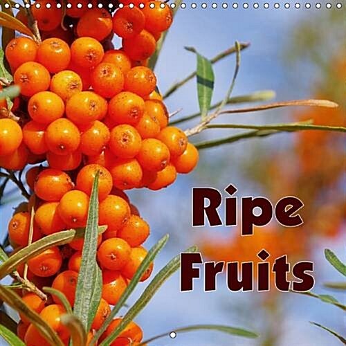 Ripe Fruits : A Kitchen Calendar with Local and Exotic Fruit. (Calendar, 2 Rev ed)