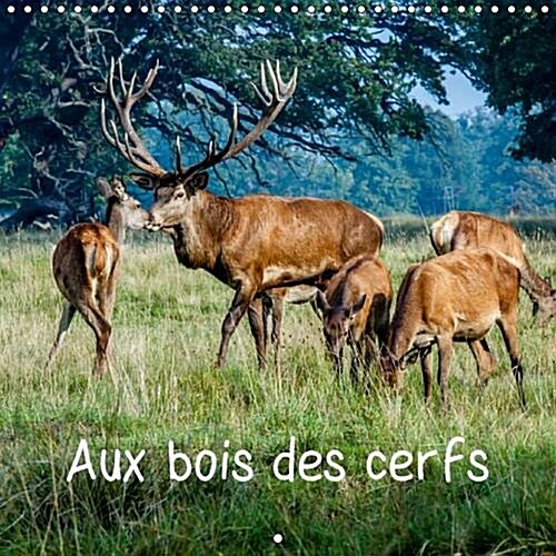 Aux Bois des Cerfs : Cerfs en Liberte dans une Foret Danoise Proche de Copenhague (Calendar, 2 Rev ed)