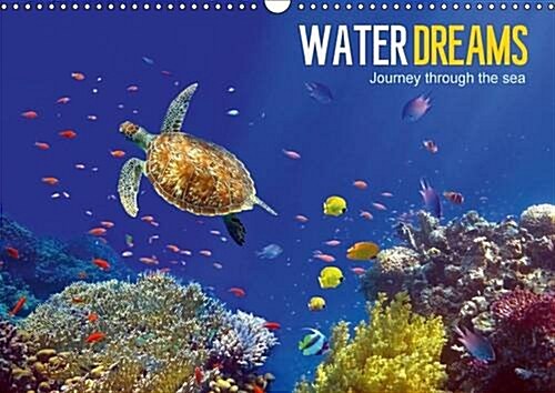 Water Dreams-Journey Through the Sea : Water Dreams. Dive into the Wonderful Underwater World (Calendar)