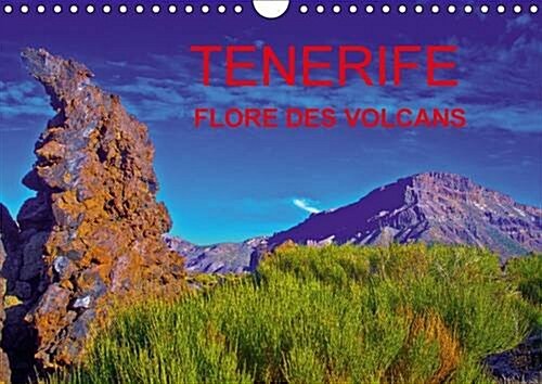 Tenerife Flore des Volcans : Des Champs de Lave Barioles de Flore Endemique Creant la Surprise dans n Desert bien Peu Austere. (Calendar, 2 Rev ed)