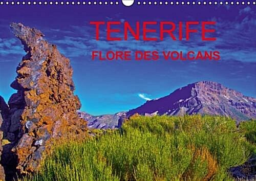 Tenerife Flore des Volcans : Des Champs de Lave Barioles de Flore Endemique Creant la Surprise dans un Desert bien Peu Austere. (Calendar, 2 Rev ed)