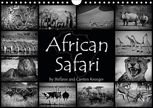 African Safari : Experience the Thrill of Wildlife (Calendar, 2 Rev ed)